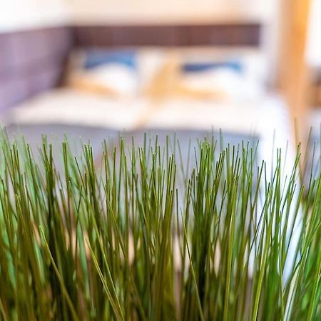 Golden Nugget Inkl Wlan, Parkplatz Apartment Detmold Exterior foto